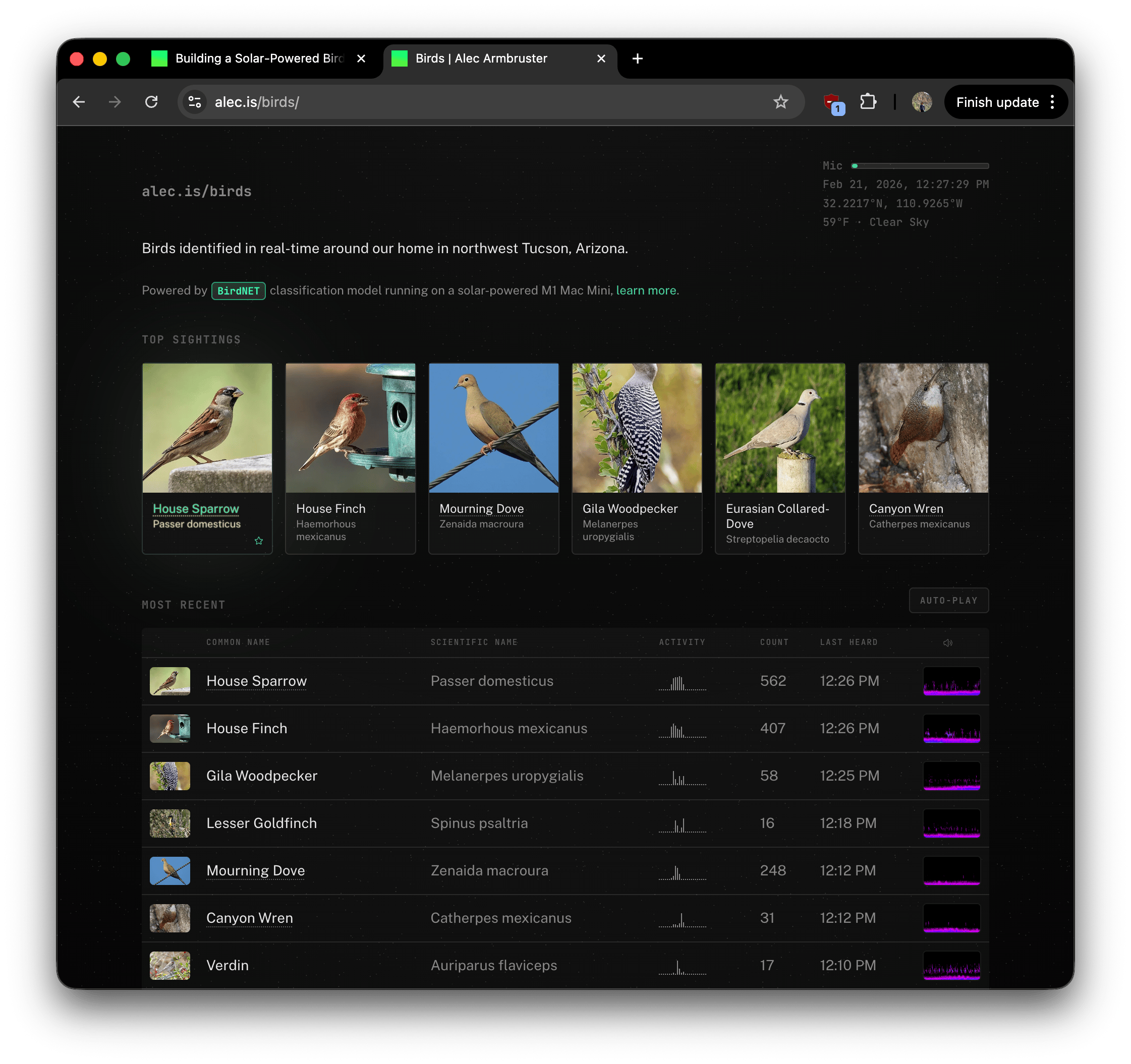 Our cat loves this app!