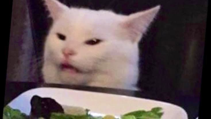 I'm never coming back here.